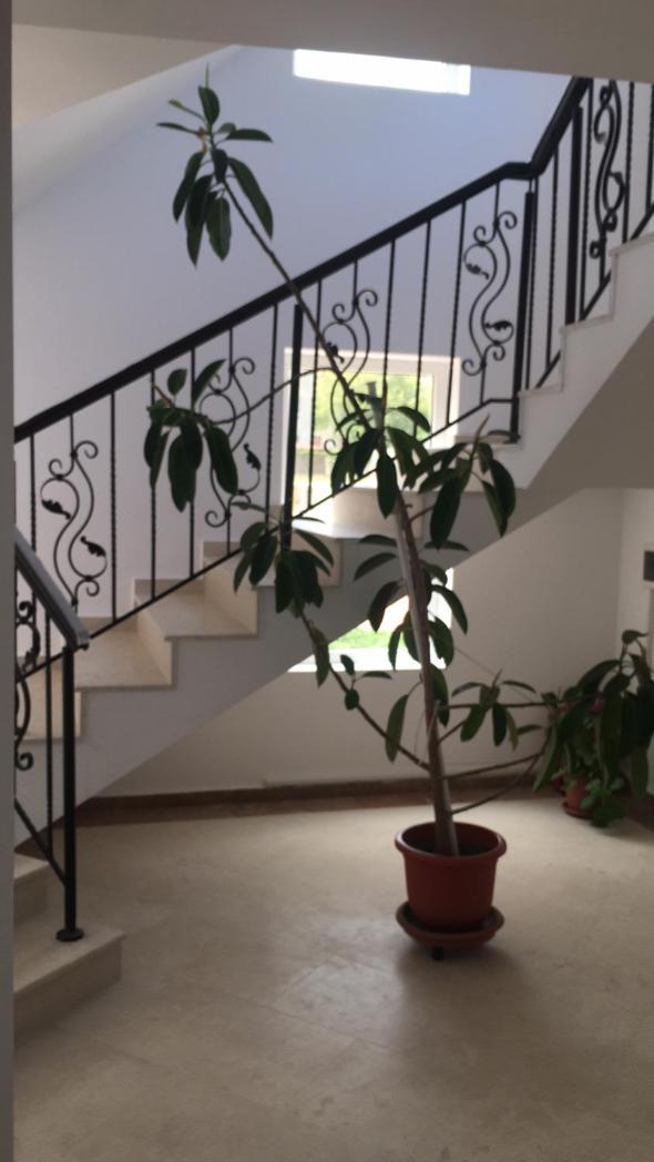 Vila Ioana Mangalia Exterior foto